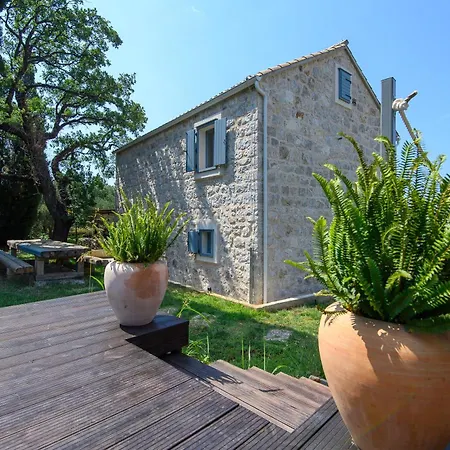 Fig & Oak Vila *