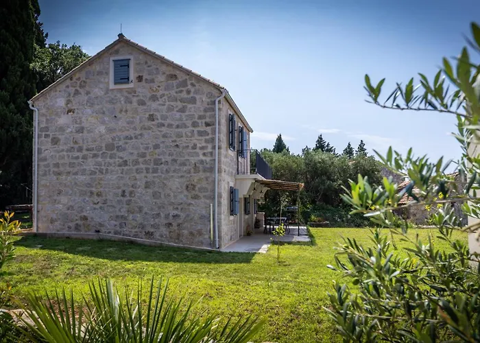 Fig & Oak فيلة *