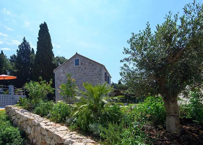 فيلة Fig & Oak *