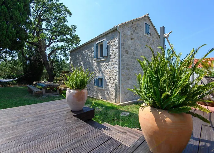 Fig & Oak فيلة *